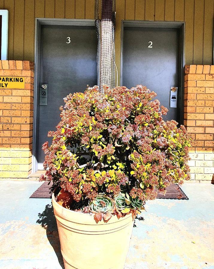 Goldrush Motel Young Cbd Εξωτερικό φωτογραφία