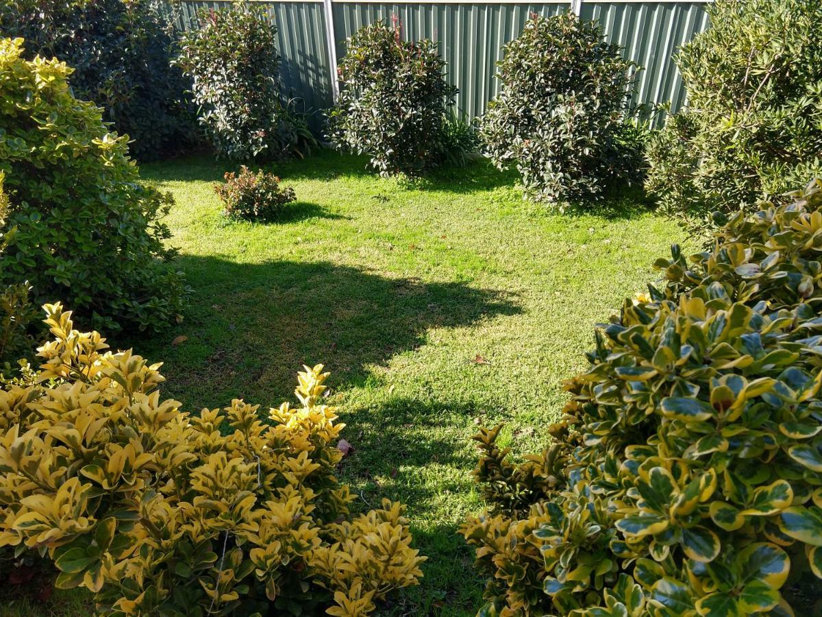 Goldrush Motel Young Cbd Εξωτερικό φωτογραφία